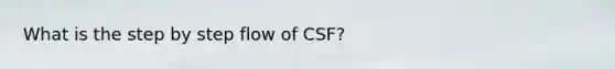 What is the step by step flow of CSF?