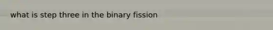 what is step three in the binary fission