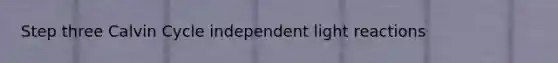 Step three Calvin Cycle independent light reactions