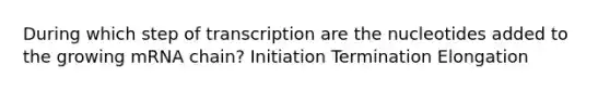 During which step of transcription are the nucleotides added to the growing mRNA chain? Initiation Termination Elongation