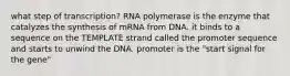 what step of transcription? RNA polymerase is the enzyme that catalyzes the synthesis of mRNA from DNA. it binds to a sequence on the TEMPLATE strand called the promoter sequence and starts to unwind the DNA. promoter is the "start signal for the gene"