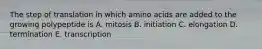 The step of translation in which amino acids are added to the growing polypeptide is A. mitosis B. initiation C. elongation D. termination E. transcription