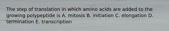 The step of translation in which amino acids are added to the growing polypeptide is A. mitosis B. initiation C. elongation D. termination E. transcription