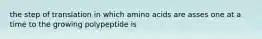 the step of translation in which amino acids are asses one at a time to the growing polypeptide is