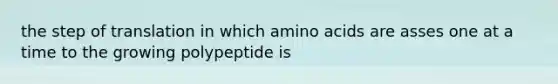 the step of translation in which <a href='https://www.questionai.com/knowledge/k9gb720LCl-amino-acids' class='anchor-knowledge'>amino acids</a> are asses one at a time to the growing polypeptide is