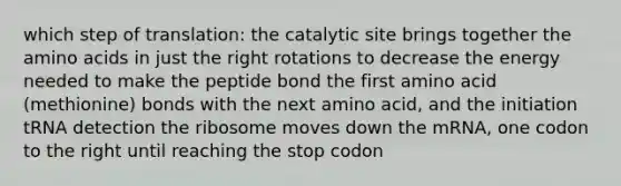 which step of translation: the catalytic site brings together the <a href='https://www.questionai.com/knowledge/k9gb720LCl-amino-acids' class='anchor-knowledge'>amino acids</a> in just the right rotations to decrease the energy needed to make the peptide bond the first amino acid (methionine) bonds with the next amino acid, and the initiation tRNA detection the ribosome moves down the mRNA, one codon to the right until reaching the stop codon