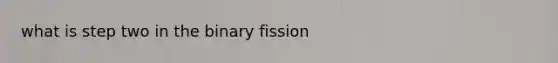 what is step two in the binary fission