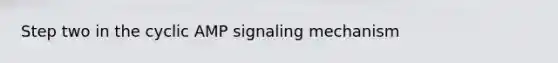 Step two in the cyclic AMP signaling mechanism