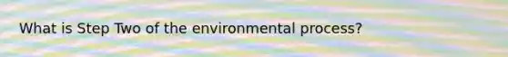 What is Step Two of the environmental process?