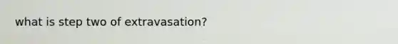 what is step two of extravasation?