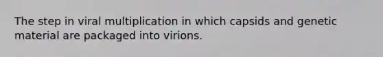 The step in viral multiplication in which capsids and genetic material are packaged into virions.