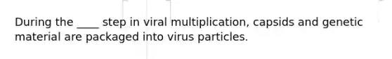 During the ____ step in viral multiplication, capsids and genetic material are packaged into virus particles.