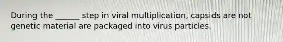 During the ______ step in viral multiplication, capsids are not genetic material are packaged into virus particles.