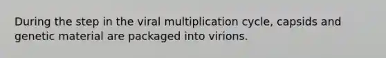 During the step in the viral multiplication cycle, capsids and genetic material are packaged into virions.