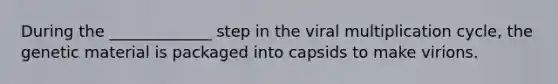 During the _____________ step in the viral multiplication cycle, the genetic material is packaged into capsids to make virions.