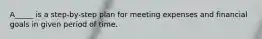 A_____ is a step-by-step plan for meeting expenses and financial goals in given period of time.