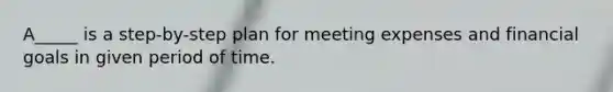 A_____ is a step-by-step plan for meeting expenses and financial goals in given period of time.