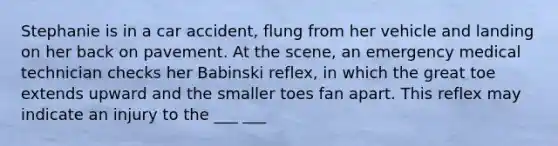 Stephanie is in a car accident, flung from her vehicle and landing on her back on pavement. At the scene, an emergency medical technician checks her Babinski reflex, in which the great toe extends upward and the smaller toes fan apart. This reflex may indicate an injury to the ___ ___