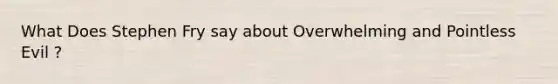 What Does Stephen Fry say about Overwhelming and Pointless Evil ?
