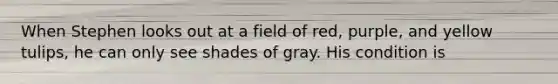 When Stephen looks out at a field of red, purple, and yellow tulips, he can only see shades of gray. His condition is