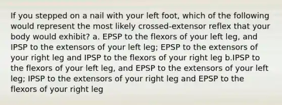 If you stepped on a nail with your left foot, which of the following would represent the most likely crossed-extensor reflex that your body would exhibit? a. EPSP to the flexors of your left leg, and IPSP to the extensors of your left leg; EPSP to the extensors of your right leg and IPSP to the flexors of your right leg b.IPSP to the flexors of your left leg, and EPSP to the extensors of your left leg; IPSP to the extensors of your right leg and EPSP to the flexors of your right leg