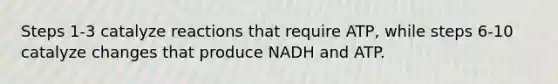 Steps 1-3 catalyze reactions that require ATP, while steps 6-10 catalyze changes that produce NADH and ATP.