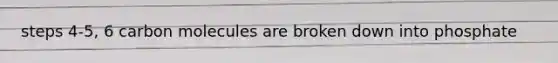 steps 4-5, 6 carbon molecules are broken down into phosphate