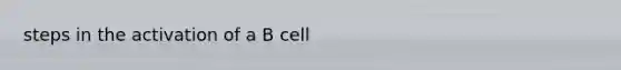 steps in the activation of a B cell