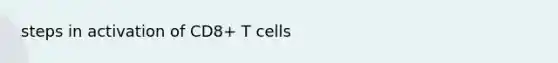 steps in activation of CD8+ T cells