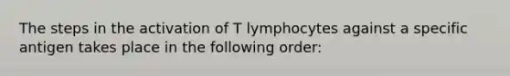 The steps in the activation of T lymphocytes against a specific antigen takes place in the following order: