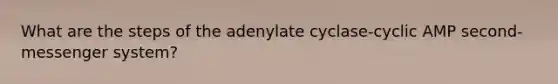 What are the steps of the adenylate cyclase-cyclic AMP second-messenger system?