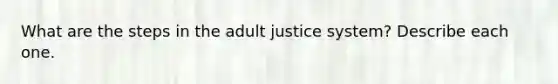 What are the steps in the adult justice system? Describe each one.