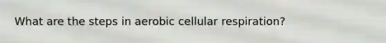 What are the steps in aerobic cellular respiration?