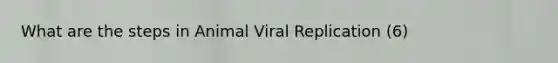 What are the steps in Animal Viral Replication (6)