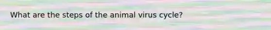 What are the steps of the animal virus cycle?