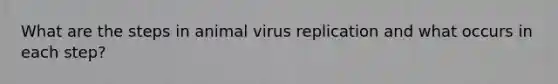 What are the steps in animal virus replication and what occurs in each step?