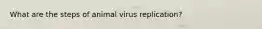 What are the steps of animal virus replication?