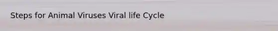 Steps for Animal Viruses Viral life Cycle