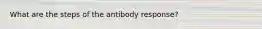 What are the steps of the antibody response?