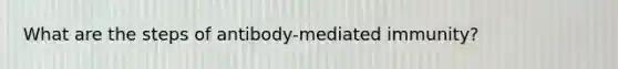 What are the steps of antibody-mediated immunity?