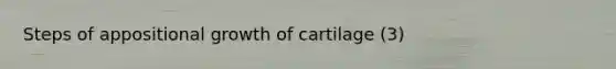 Steps of appositional growth of cartilage (3)