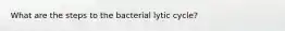 What are the steps to the bacterial lytic cycle?