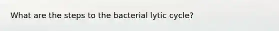 What are the steps to the bacterial lytic cycle?