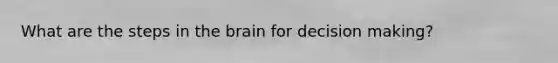 What are the steps in the brain for decision making?