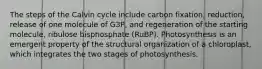 The steps of the Calvin cycle include carbon fixation, reduction, release of one molecule of G3P, and regeneration of the starting molecule, ribulose bisphosphate (RuBP). Photosynthesis is an emergent property of the structural organization of a chloroplast, which integrates the two stages of photosynthesis.