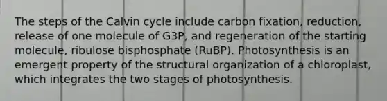 The steps of the Calvin cycle include carbon fixation, reduction, release of one molecule of G3P, and regeneration of the starting molecule, ribulose bisphosphate (RuBP). Photosynthesis is an emergent property of the structural organization of a chloroplast, which integrates the two stages of photosynthesis.