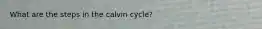 What are the steps in the calvin cycle?