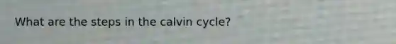 What are the steps in the calvin cycle?