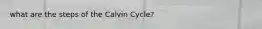 what are the steps of the Calvin Cycle?