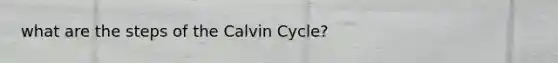 what are the steps of the Calvin Cycle?